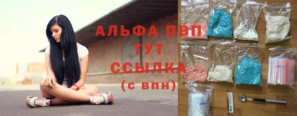 ГАЛЛЮЦИНОГЕННЫЕ ГРИБЫ Белокуриха