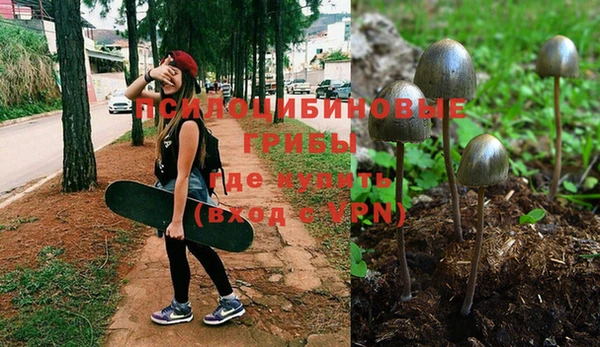 ГАЛЛЮЦИНОГЕННЫЕ ГРИБЫ Белокуриха