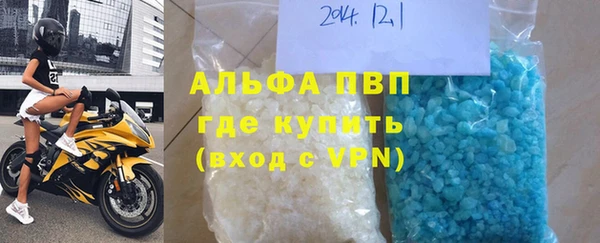 ГАЛЛЮЦИНОГЕННЫЕ ГРИБЫ Белокуриха
