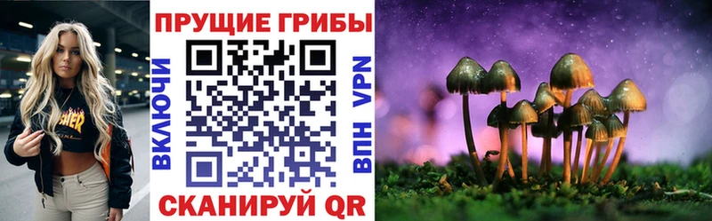 Галлюциногенные грибы прущие грибы дарнет шоп Светогорск